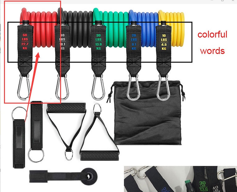 Colorful resistance rope band set with handles, straps, and storage pouch arranged for view
