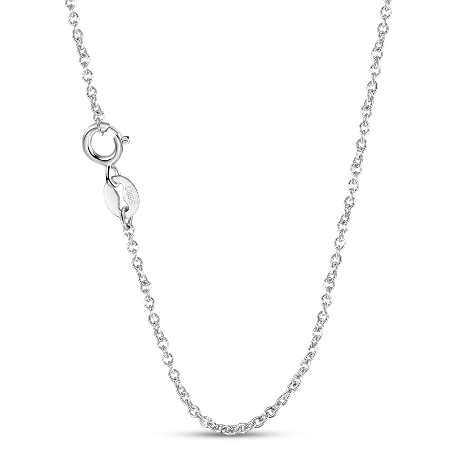 Sterling silver chain necklace with round clasp and no visible pendant