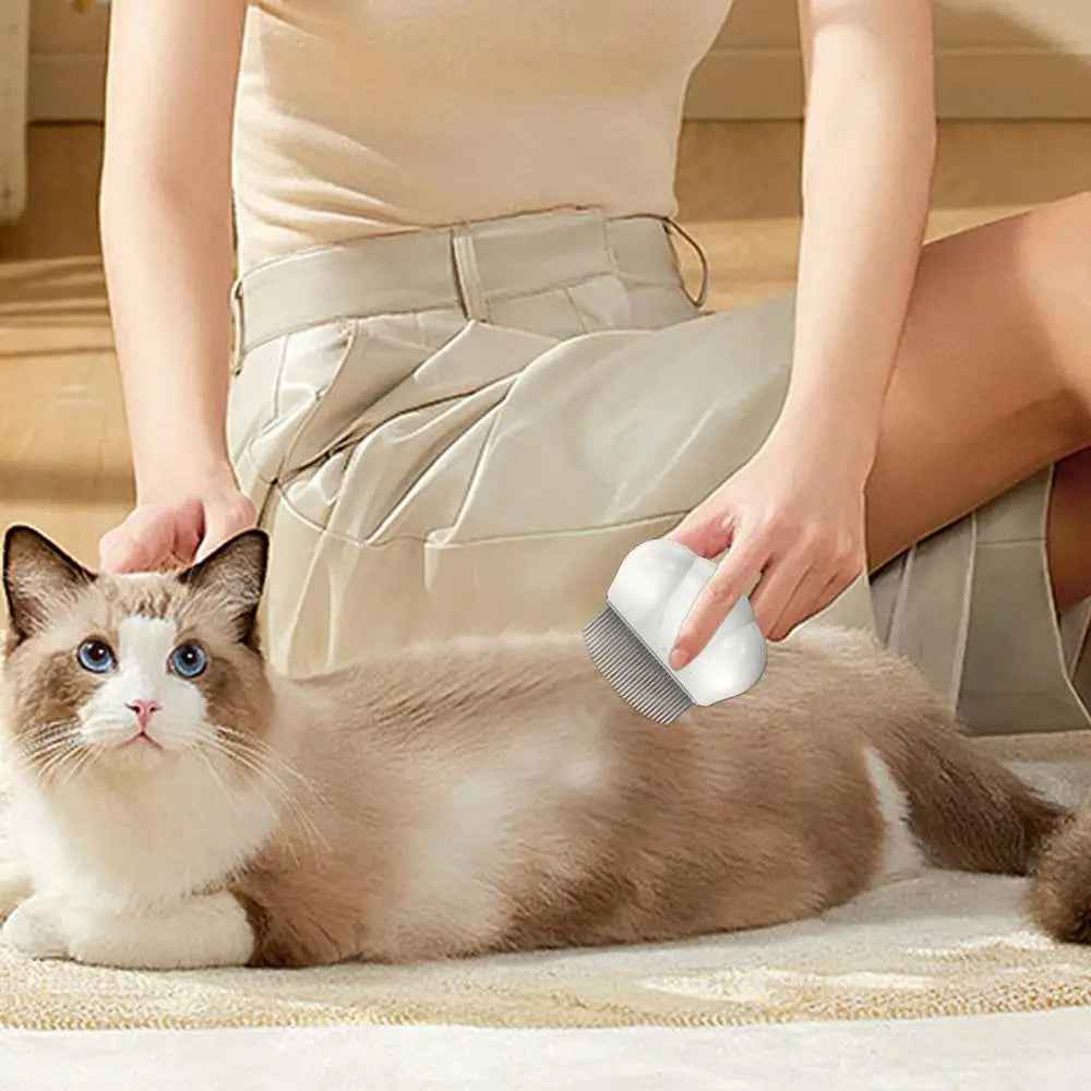 Pet grooming comb with metal teeth, held during dog coat brushing