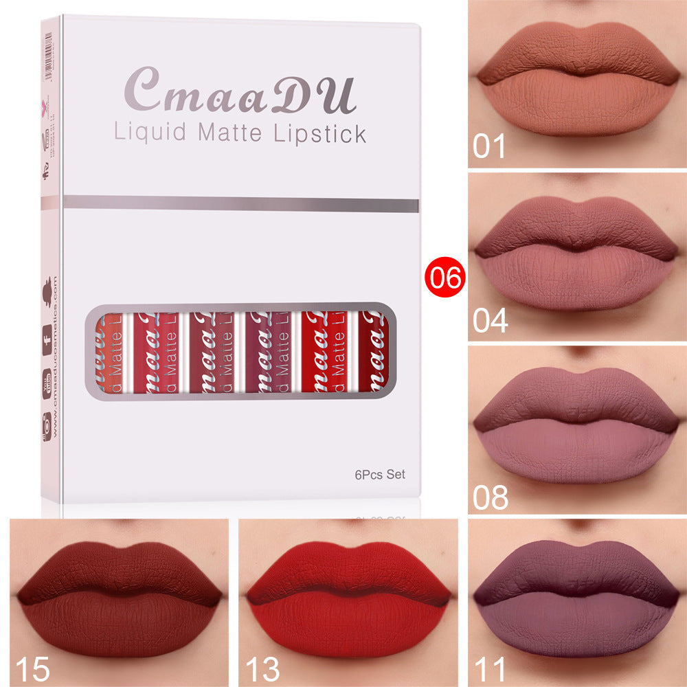 Liquid matte lipstick set box with nude, brown, plum lip shade swatches